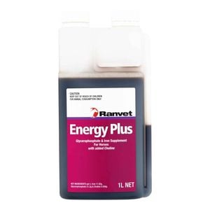 Ranvet Energy Plus Glycerophosphate & Iron Supplement For Horses 1l