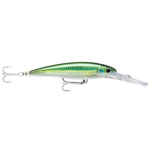 Rapala XRap Magnum Deep 14cm Hard Body Fishing Lure Bigeye Scad