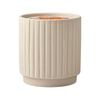 Waxworks Cream Pinstripe Citronella Candle