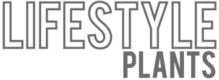 Lifestyle Plants