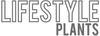Lifestyle Plants
