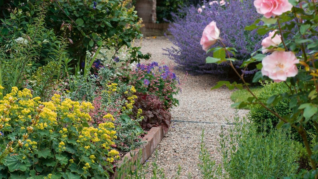 A pebble pathway in between two colourful and vibrant garden beds filled with various flowers