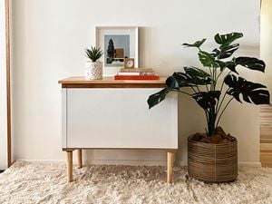 Cabinet sitting in hallway next to plant 