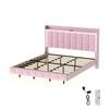 Levede Pink Floating Velvet Bed Frame with LED and Charging Station - King