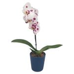 1 x 3m x 18mm Synthetic Grass Turf Mat