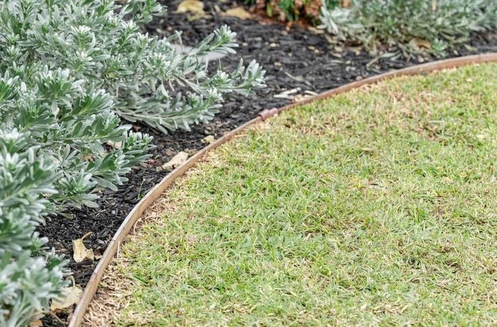 A healthy lawn next to a garden covered with mulch separated with garden edging