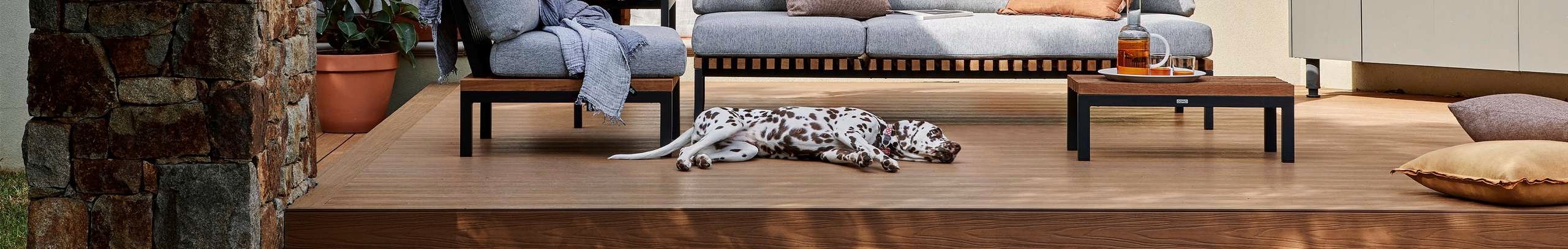 Ekodeck decking with Dalmatian dog laying down and outdoor sofa.