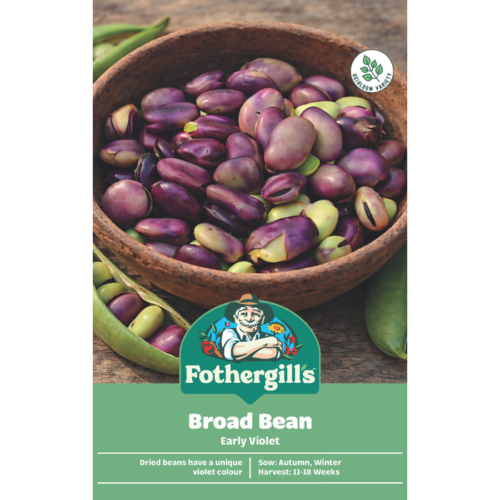 Fothergill's Broad Bean Early Violet Flower Seeds