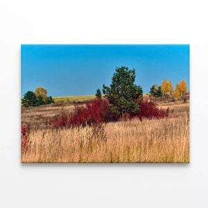 Grass With Trees an Autumn Vibe  Print 100% Australian Made 90 x 60cm  (Stretched)
