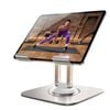 StylePro 360° Rotatable Tablet Stand, iPad & Tablets Up To 13”, Silver