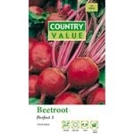 Country Value Beetroot Perfect Seed