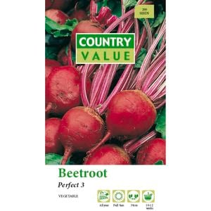 Country Value Beetroot Perfect Seed