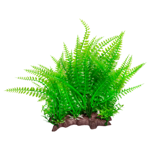 Aqua One Ecoscape Large Wide Liquorice Fern/eagle Fern Green (28262)