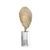 Belle Oyster Polyresin Sculpture On Crystal Stand 39cm Large - Natural