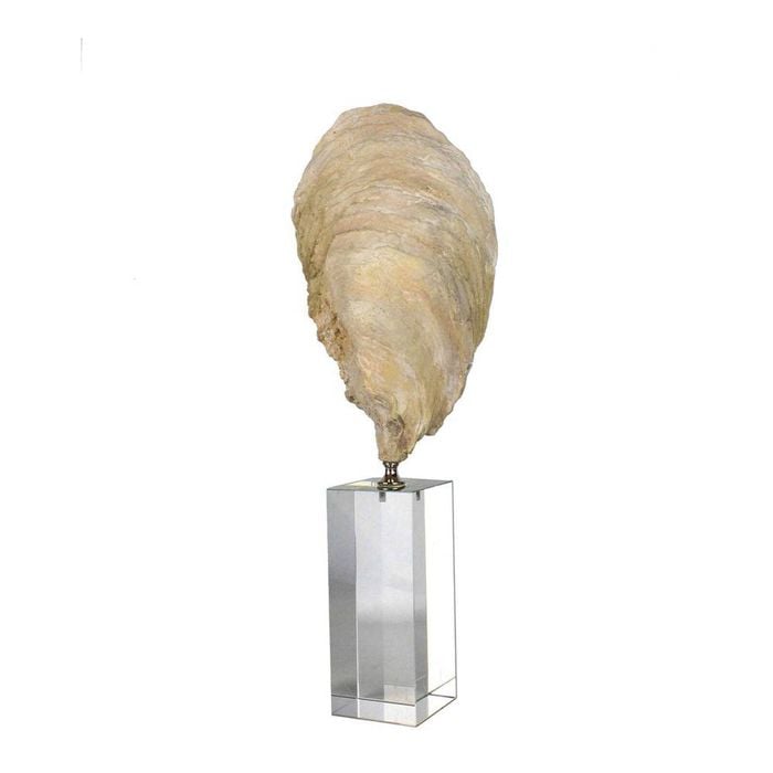 Belle Oyster Polyresin Sculpture On Crystal Stand 39cm Large - Natural