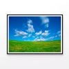 Grassland and Blue Sky  Print 100% Australian Made 120x90cm  (Poster)