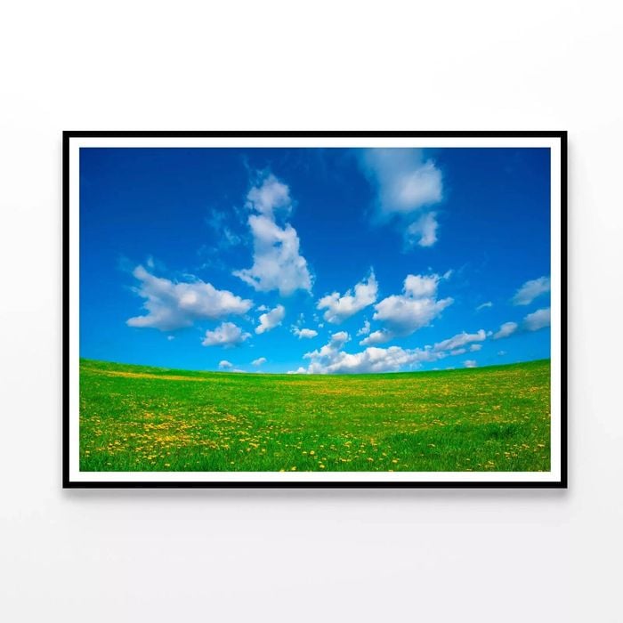 Grassland and Blue Sky  Print 100% Australian Made 120x90cm  (Poster)