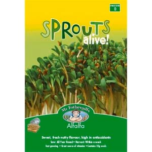 Mr Fothergill's Alfalfa Sprouts Alive Seeds