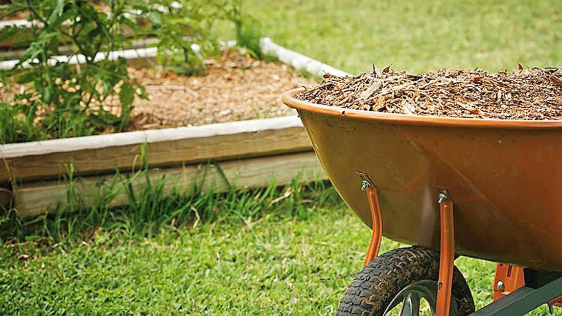 Close up of a wheelbarrow filled with mulch in a garden.