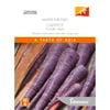 Johnsons Seed Carrot Purple Haze