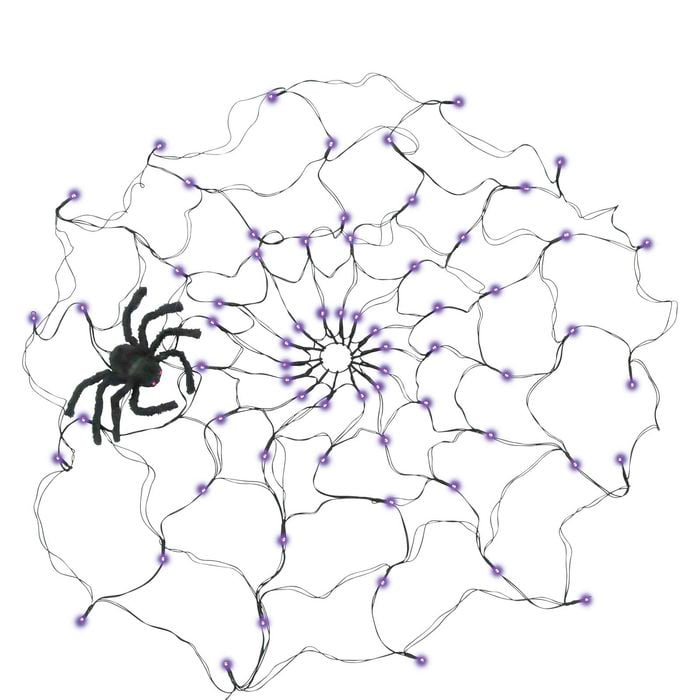 Mirabella Light-Up Spider Web