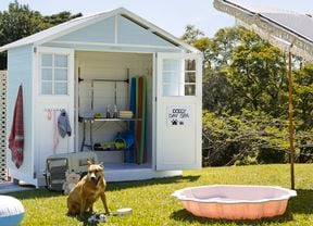 ackyard with a shed with the doors open to shelves and pet grooming products. A brown dog sits on the grass along with an inflatable ring, a pink shell kidspool and toys.