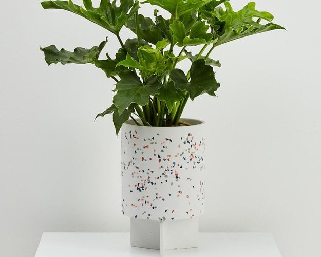 Tri Pot - Terrazzo White w plant
