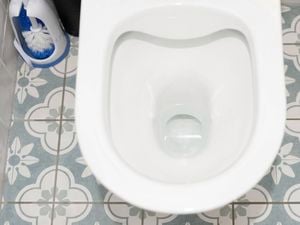 Clean and unblocked toilet with a brush nearby on a patterned tiled floor.