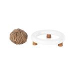 Kokedama Kit 