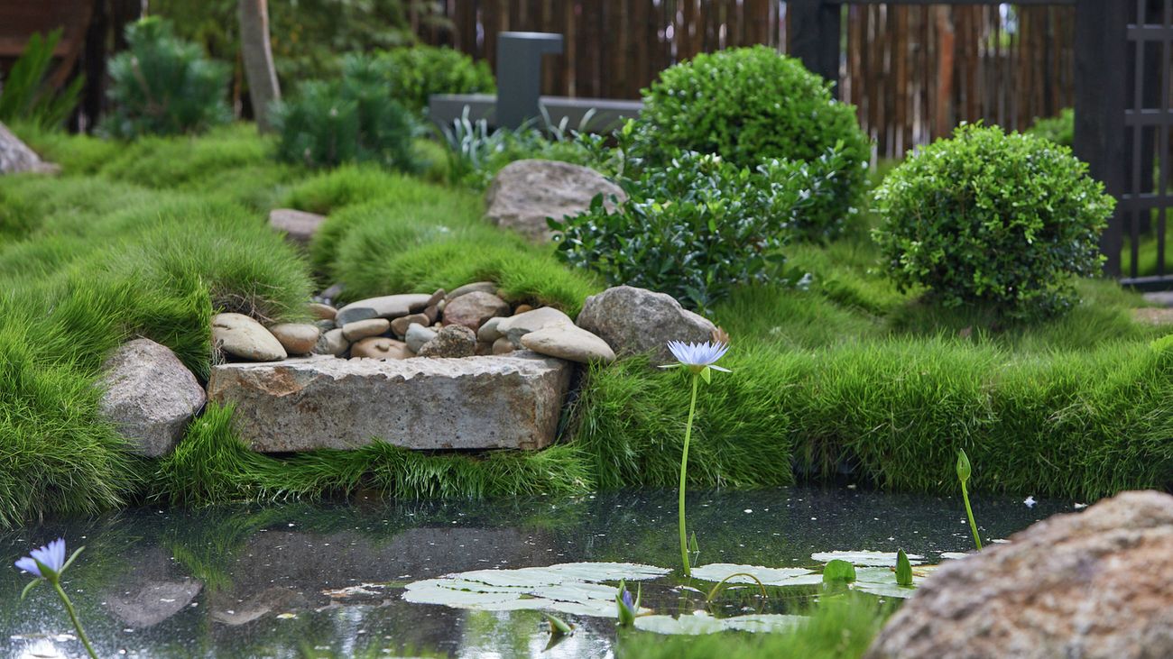 A still pond with aquatic flowers, a grassy bank with small stone slabs and large rocks, small topiary balls and dark-painted timber arbours in the background.