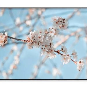 Close-Up Of the Blossoming Branch  Print 100% Australian Made 120x90cm  (Poster)