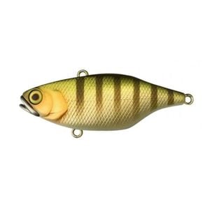 Jackall TN60 Hard body Vibration Fishing Lure Brown Dog Gill