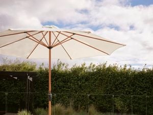 Outdoor sun lounge under large umbrella by the pool side in a backyard