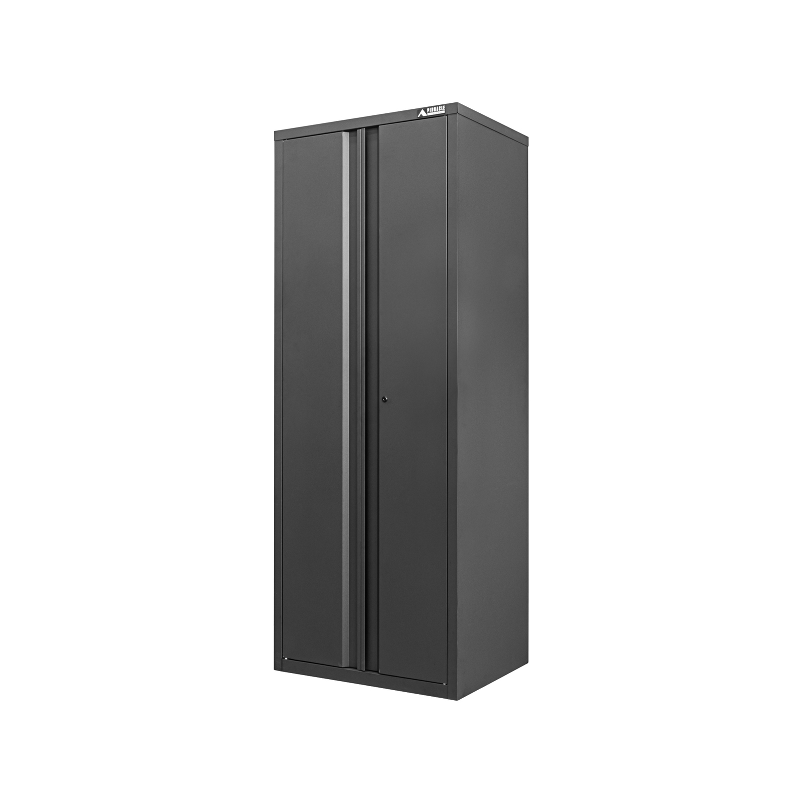 Metal cupboard bunnings discount