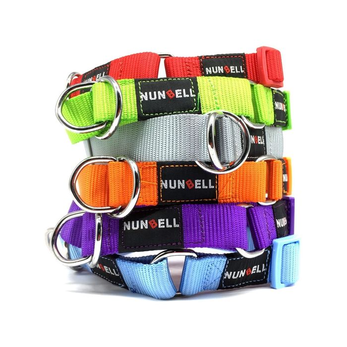 DOG TRAINING Collar Martingale Adjustable Lead 2.5cm Width Strong New