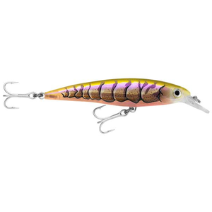 Rapala XRap Saltwater 10cm Hard Body Fishing Lure Purple Prawn UV