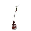 Bagged Granny Smith Apple - Malus domestica