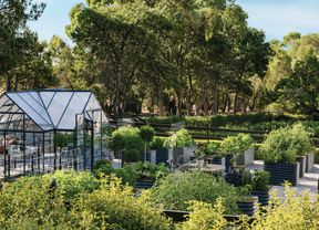 A greenhouse in a lush garden with raised vegetable beds and trees.