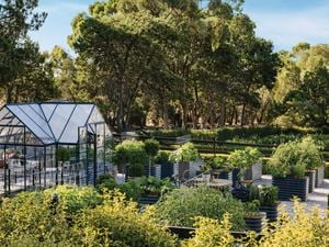 A greenhouse in a lush garden with raised vegetable beds and trees.