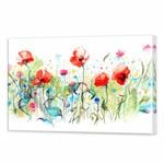 Wild Poppies | 90 x 60cm Stretched Canvas Print