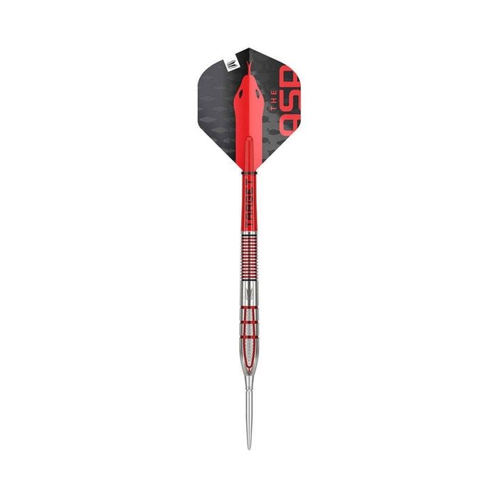 Target Nathan G2 Aspinall 95% Tungsten Barrel Darts Steel Tip 23g