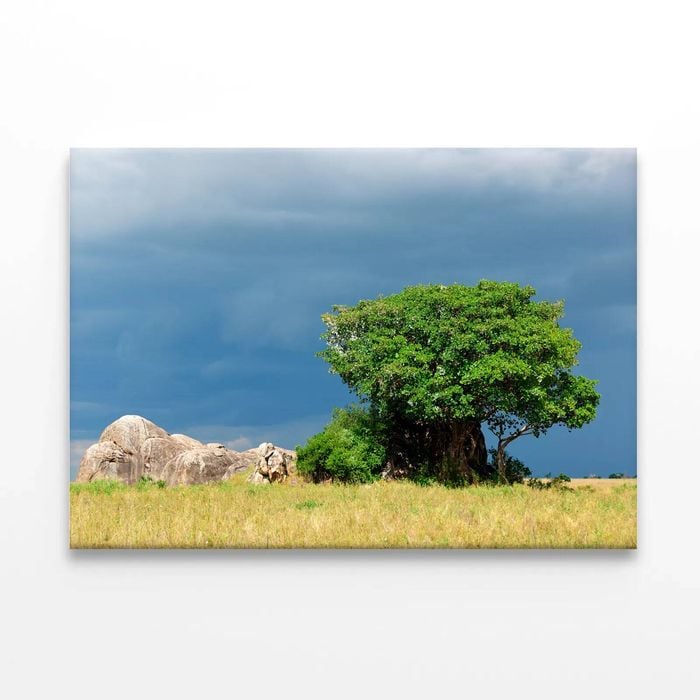 Serengeti National Park Tanzania  Print 100% Australian Made 90 x 60cm  (Stretched)