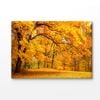 Autumn Leaves In The Forest Print 100% Australian Made 150x100cm (Stretched Canvas)