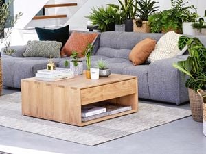 Couch with pillows on it and surrounded by plants.