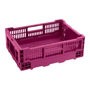 Live It Small Boysenberry Collapsible Crate