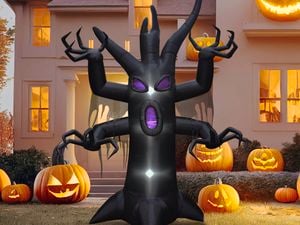 Product.CLICK 3.65M BLACK SCARY TREE LIGHT UP INFLATABLE.1037627.NZ.productOtherMedia.3
