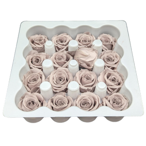 Blooms of Joy 2.5cm Sand Beige Spray Roses 16 Pack