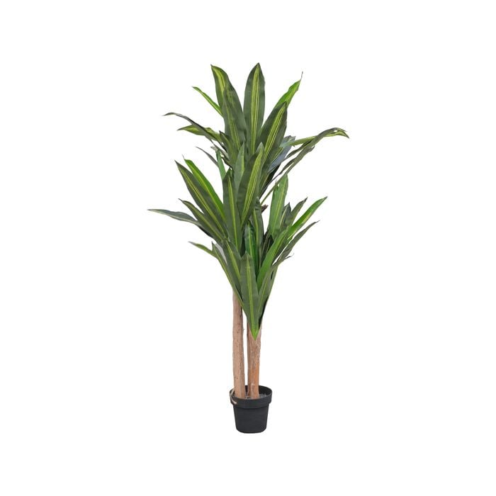 UN-REAL 160cm Dracaena Artificial Plant