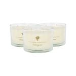 Soy Wax Scented Candles - 350g - Lemongrass - Pack of 3