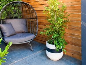 DIY Advice Image - D.I.Y. balcony and courtyard garden . G Drive blob storage upload.